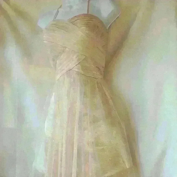 LAURA PETITES CHAMPAGNE GLITTER MININ DRESS SIZE 10 - Picture 2 of 9